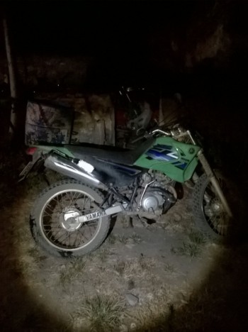 Motociclista fica gravemente ferido ao colidir contra boi na AL-210
