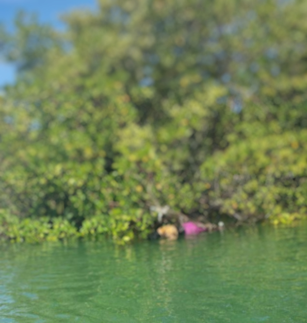 Corpo encontrado em lagoa pode ser de mulher desaparecida desde sábado (22) em Marechal Deodoro