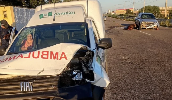 Madrugada de risco: animal na pista desencadeia acidente em cadeia no interior de AL