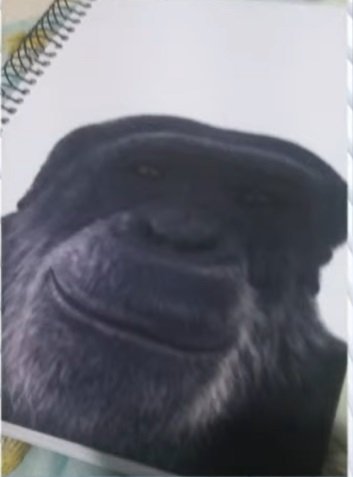 Professor é investigado por injúria racial após comparar aluno de 13 anos a chimpanzé