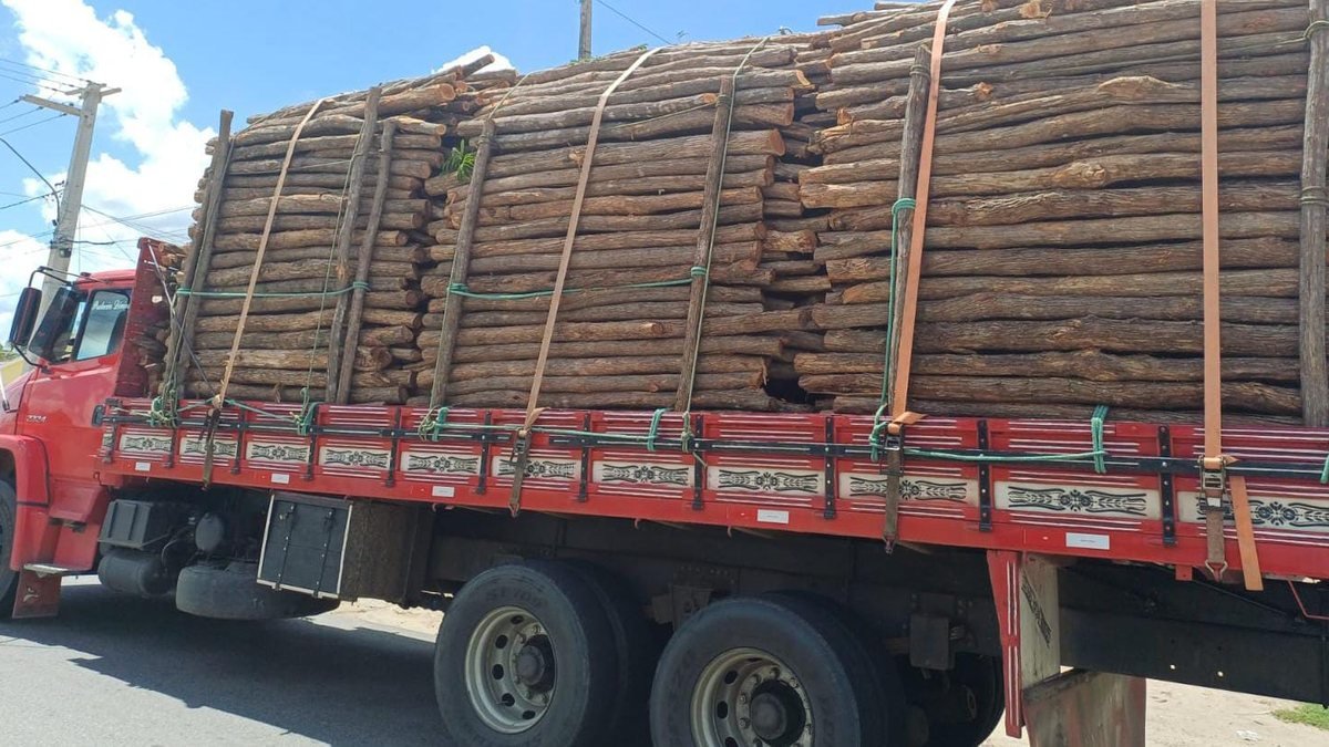 PRF intercepta cargas irregulares que tinham como destino o estado de Alagoas