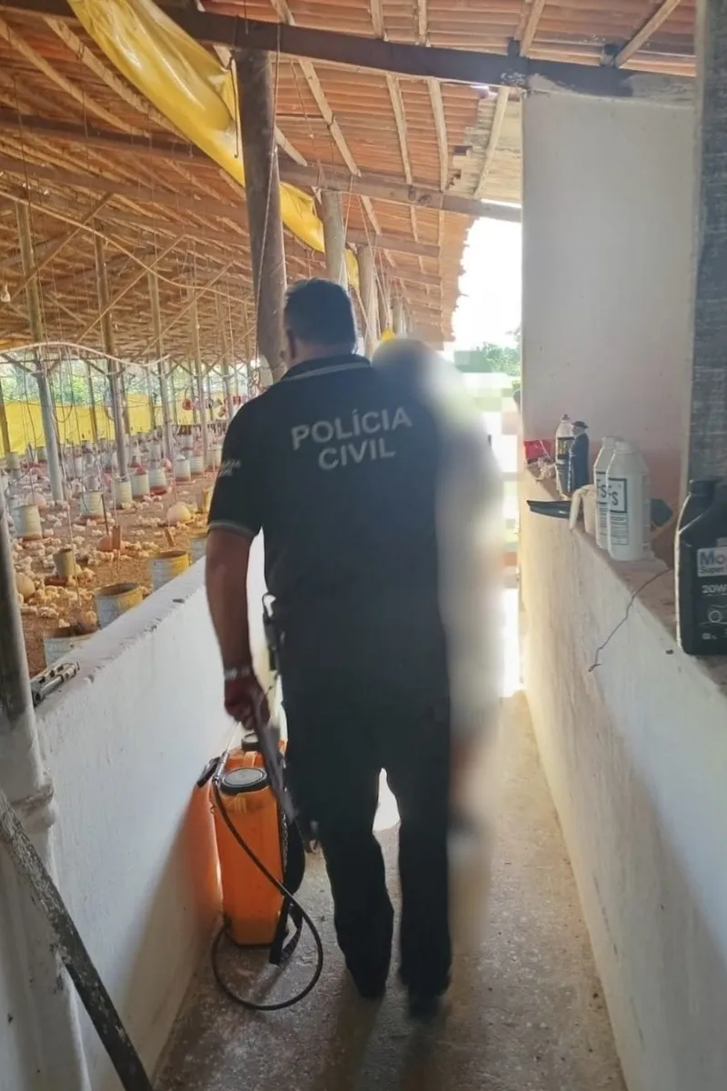 Foragido por estupro é preso em granja de Teotônio Vilela no 1º dia de trabalho