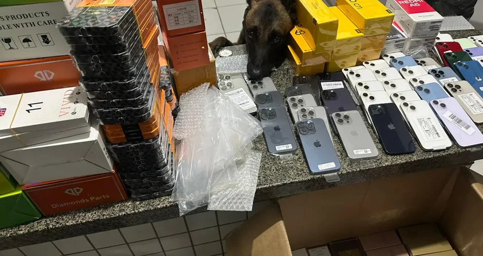 Carga com celulares e 176 perfumes falsificados é apreendida durante operação na BR-101