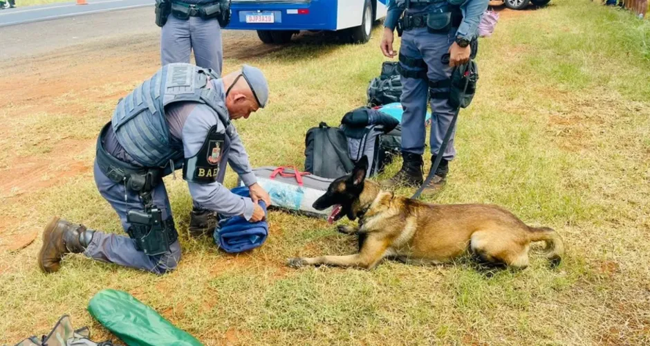 Em blitz, PM apreende drogas sintéticas em entorno de festa rave