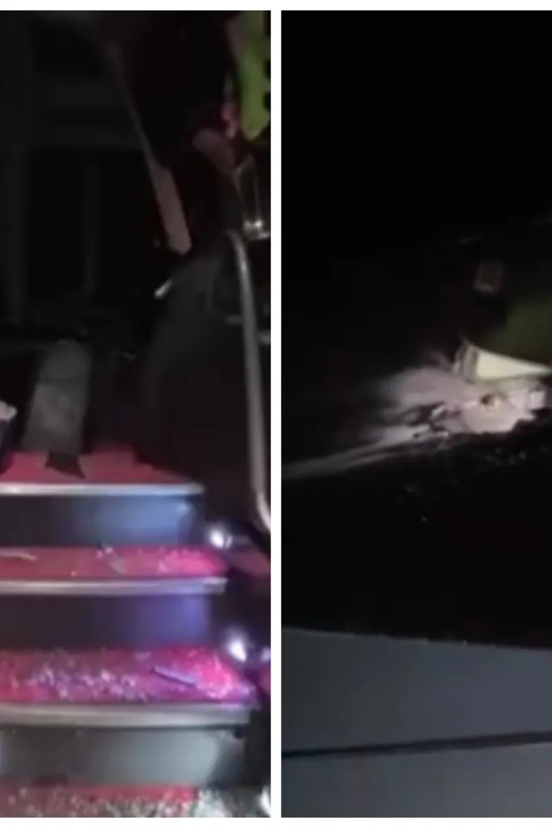 Ônibus com estudantes de Santana do Mundaú é atacado com bombas caseiras na BR-104